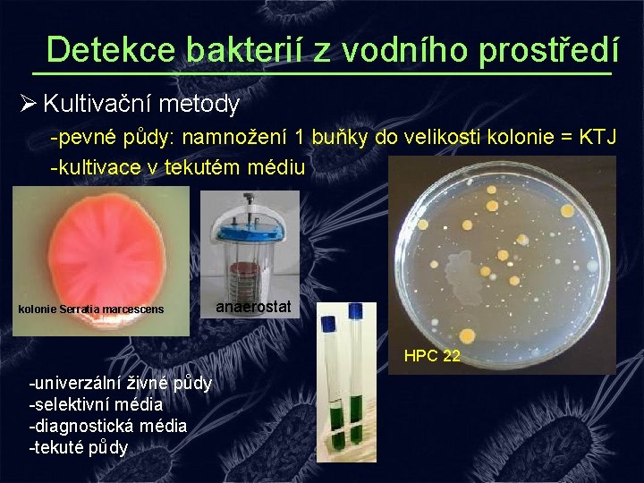 Detekce bakterií z vodního prostředí Ø Kultivační metody -pevné půdy: namnožení 1 buňky do