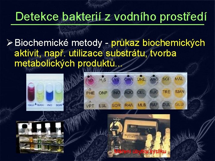 Detekce bakterií z vodního prostředí Ø Biochemické metody - průkaz biochemických aktivit, např. utilizace