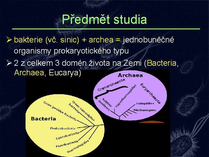 Předmět studia Ø bakterie (vč. sinic) + archea = jednobuněčné organismy prokaryotického typu Ø