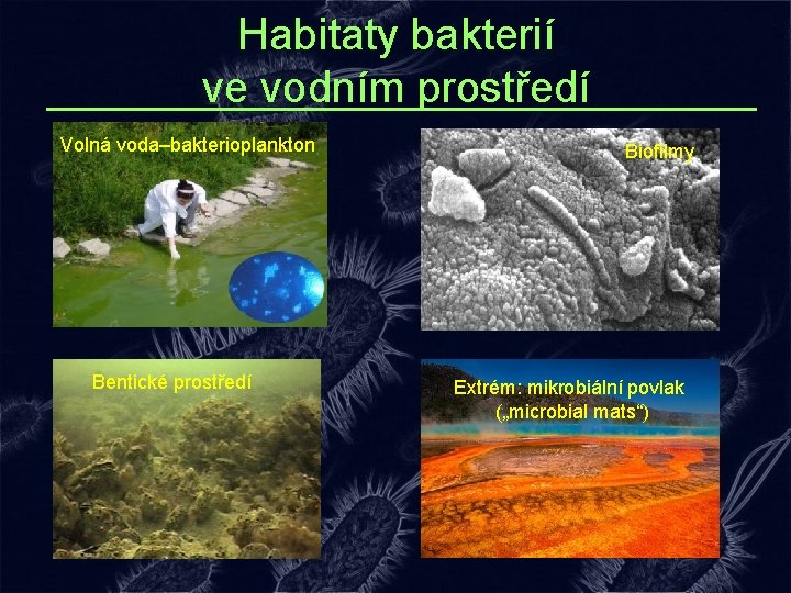 Habitaty bakterií ve vodním prostředí Volná voda–bakterioplankton Bentické prostředí Biofilmy Extrém: mikrobiální povlak („microbial