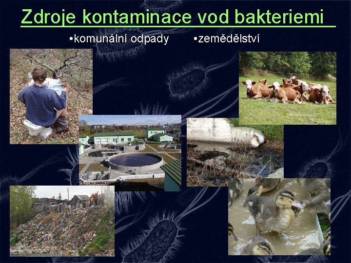 Zdroje kontaminace vod bakteriemi • komunální odpady • zemědělství 