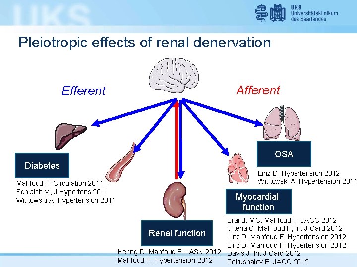 Pleiotropic effects of renal denervation Efferent Afferent OSA Diabetes Mahfoud F, Circulation 2011 Schlaich
