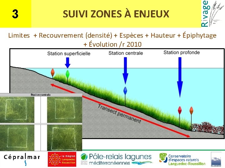 3 SUIVI ZONES À ENJEUX Limites + Recouvrement (densité) + Espèces + Hauteur +