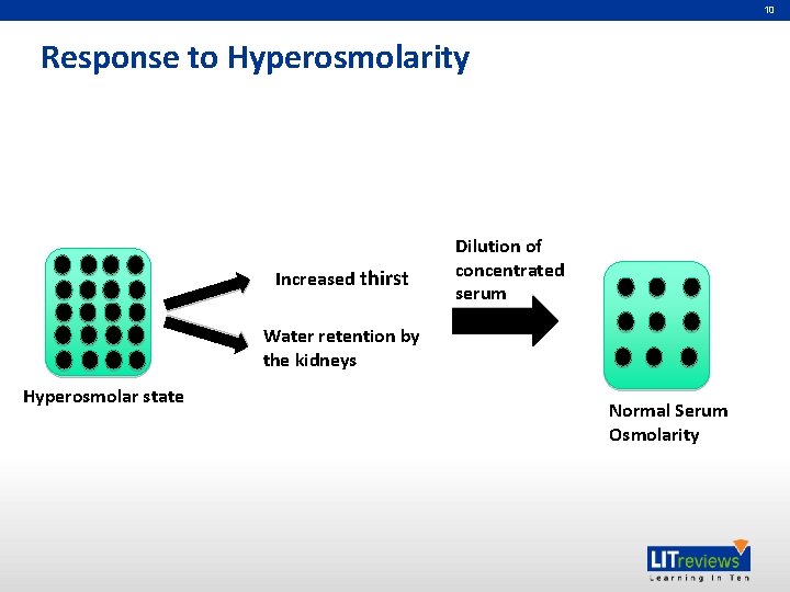 10 Response to Hyperosmolarity Increased thirst Dilution of concentrated serum Water retention by the