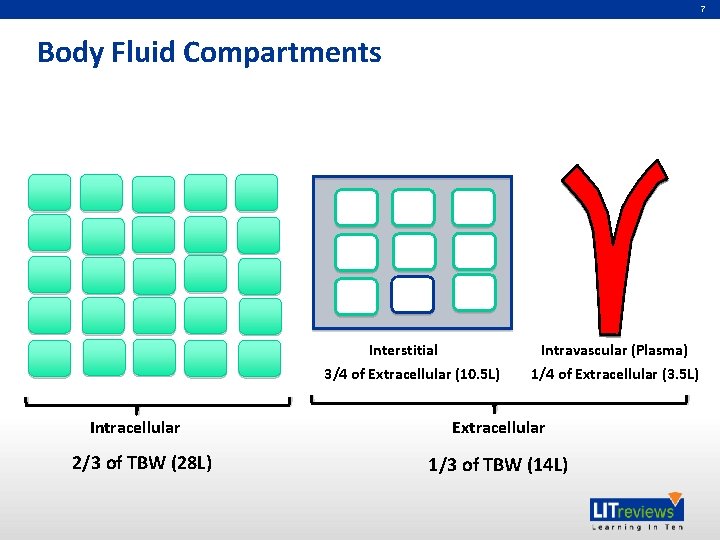 7 Body Fluid Compartments Interstitial Intravascular (Plasma) 3/4 of Extracellular (10. 5 L) Intracellular