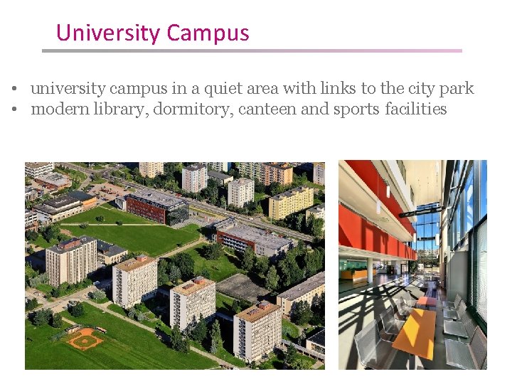 University Campus • university campus in a quiet area with links to the city