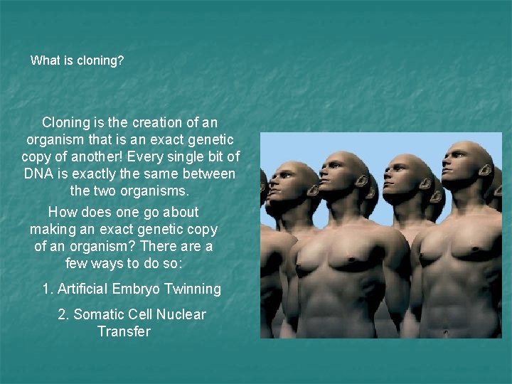 What is cloning? Cloning is the creation of an organism that is an exact