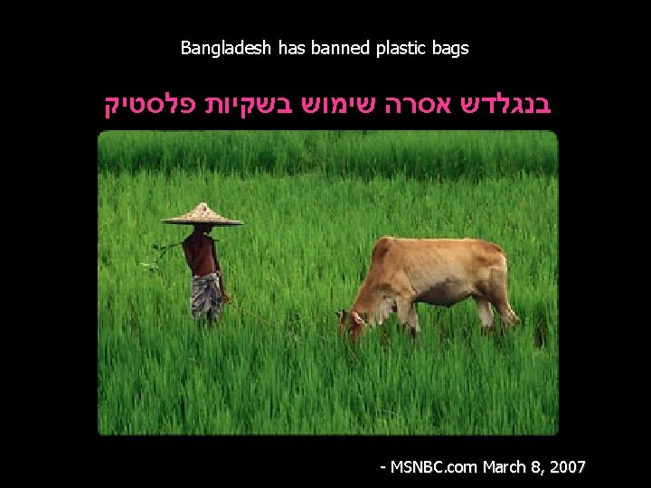 Bangladesh has banned plastic bags בנגלדש אסרה שימוש בשקיות פלסטיק - MSNBC. com March