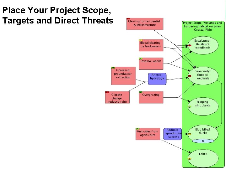 Place Your Project Scope, Targets and Direct Threats 