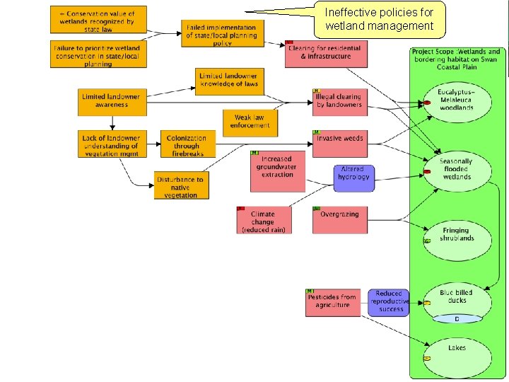 Ineffective policies for wetland management 