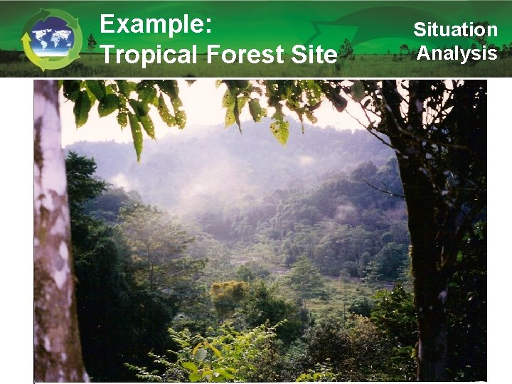 Example: Tropical Forest Site Situation Analysis 