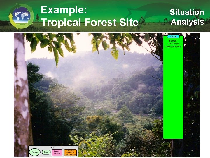 Example: Tropical Forest Site Situation Analysis 