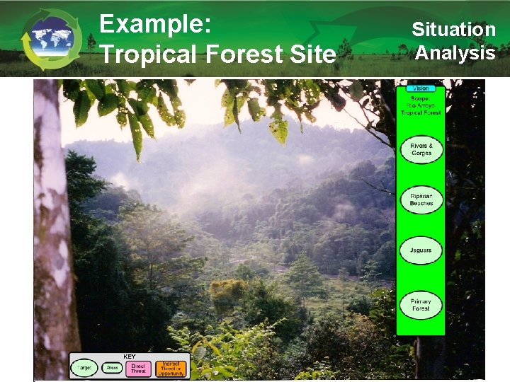 Example: Tropical Forest Site Situation Analysis 