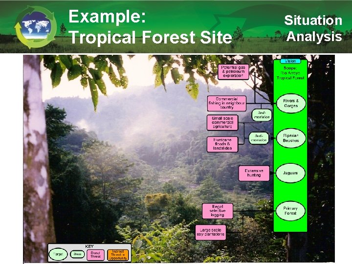 Example: Tropical Forest Site Situation Analysis 