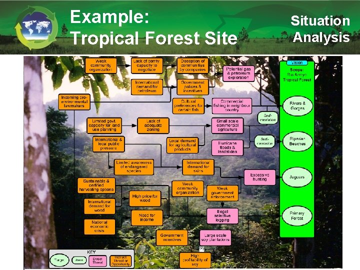 Example: Tropical Forest Site Situation Analysis 