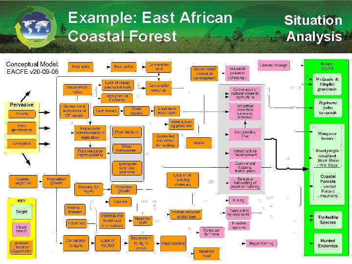 Example: East African Coastal Forest Situation Analysis 