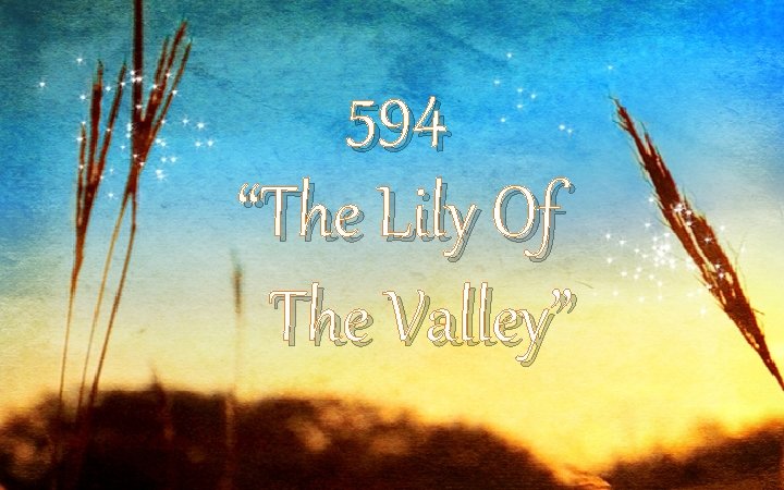 594 “The Lily Of The Valley” 