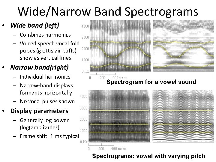 Wide/Narrow Band Spectrograms • Wide band (left) – Combines harmonics – Voiced speech vocal