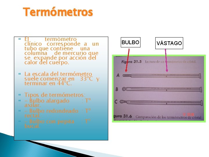Termómetros El termómetro clínico corresponde a un tubo que contiene una columna de mercurio