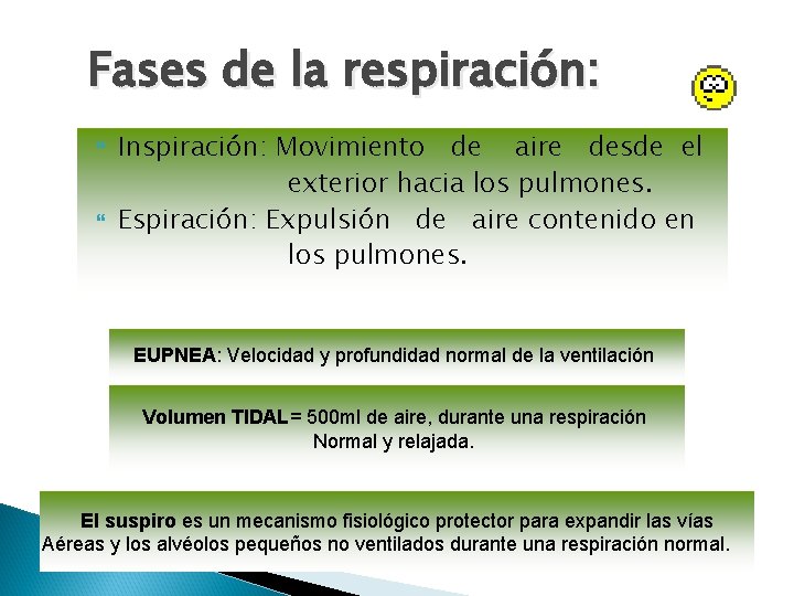 Fases de la respiración: Inspiración: Movimiento de aire desde el exterior hacia los pulmones.