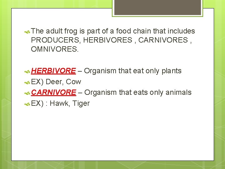  The adult frog is part of a food chain that includes PRODUCERS, HERBIVORES