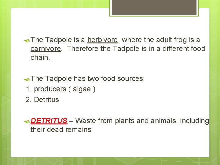  The Tadpole is a herbivore, where the adult frog is a carnivore. Therefore