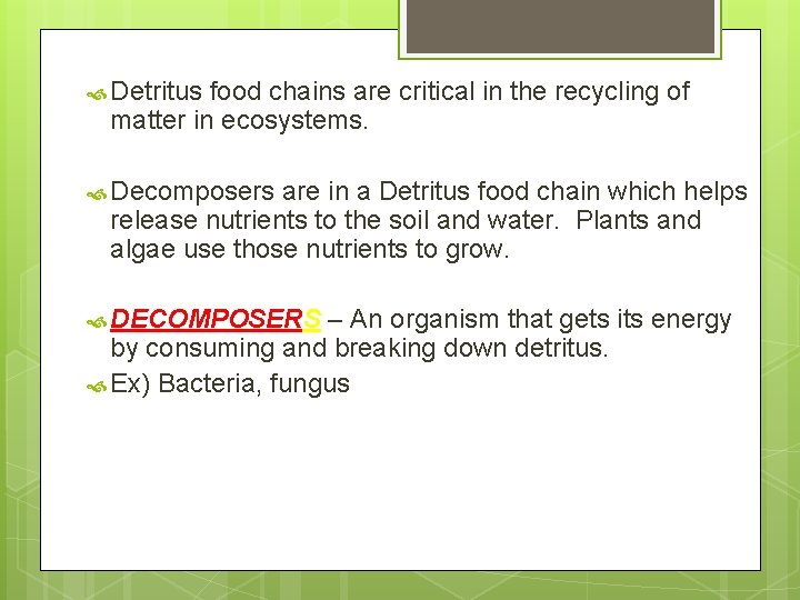  Detritus food chains are critical in the recycling of matter in ecosystems. Decomposers