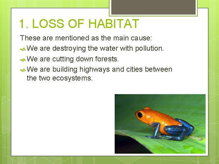 1. LOSS OF HABITAT These are mentioned as the main cause: We are destroying
