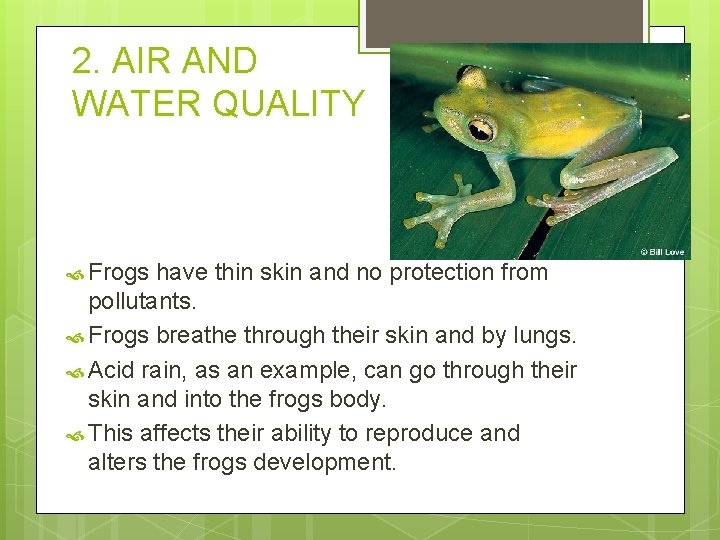 2. AIR AND WATER QUALITY Frogs have thin skin and no protection from pollutants.