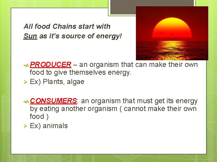 All food Chains start with Sun as it’s source of energy! PRODUCER – an