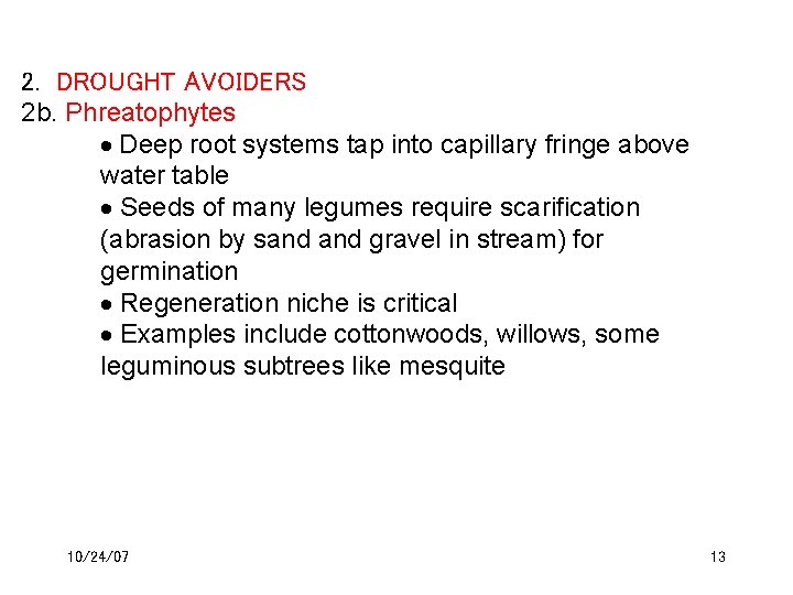 2. DROUGHT AVOIDERS 2 b. Phreatophytes Deep root systems tap into capillary fringe above