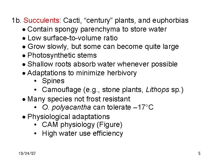 1 b. Succulents: Cacti, “century” plants, and euphorbias Contain spongy parenchyma to store water