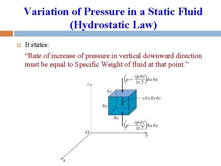 Variation of Pressure in a Static Fluid (Hydrostatic Law) It states: “Rate of increase