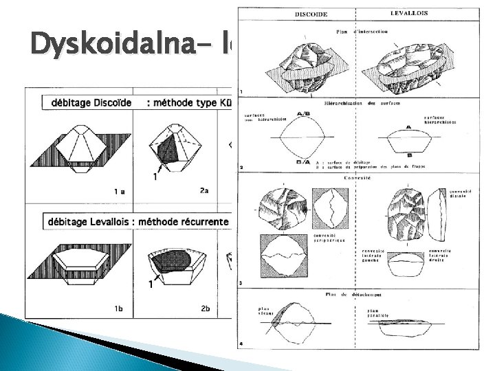 Dyskoidalna- lewaluaska 