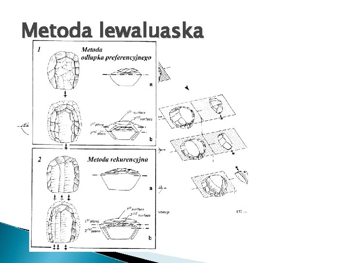 Metoda lewaluaska 