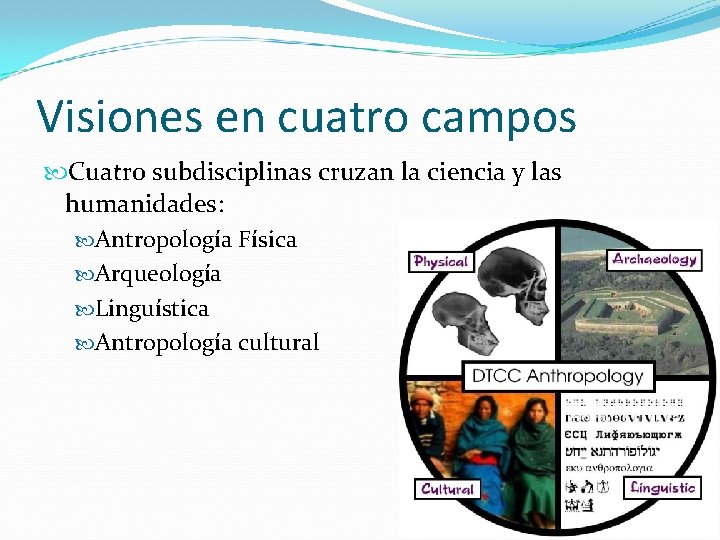 Visiones en cuatro campos Cuatro subdisciplinas cruzan la ciencia y las humanidades: Antropología Física