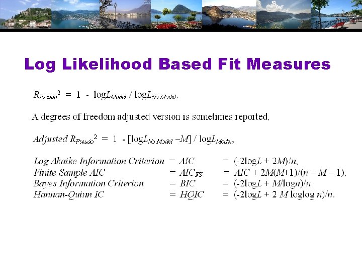 Log Likelihood Based Fit Measures 