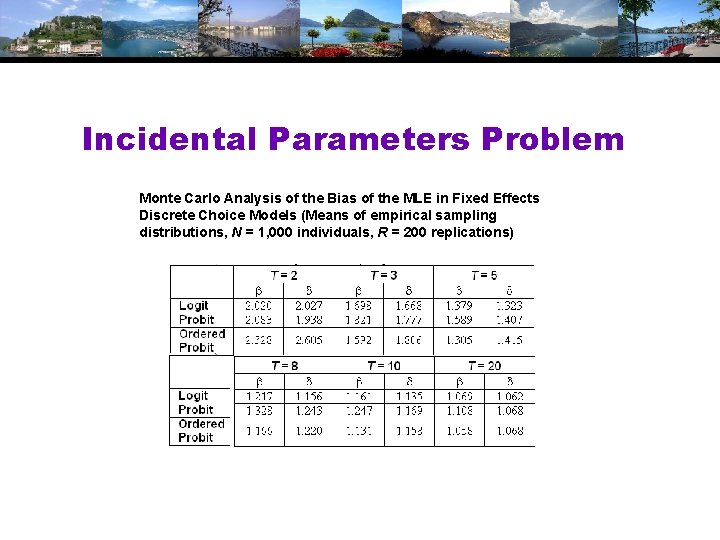 Incidental Parameters Problem Monte Carlo Analysis of the Bias of the MLE in Fixed