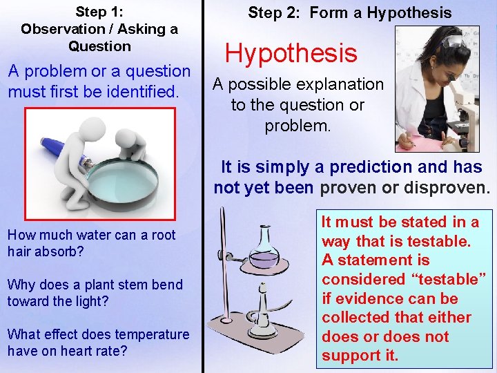 Step 1: Observation / Asking a Question A problem or a question must first