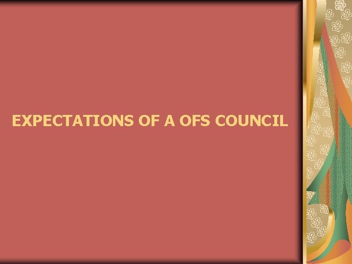 EXPECTATIONS OF A OFS COUNCIL 