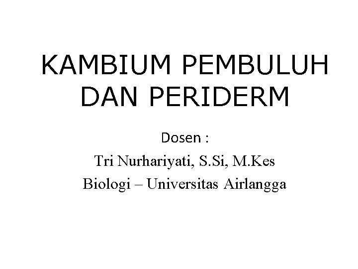 KAMBIUM PEMBULUH DAN PERIDERM Dosen : Tri Nurhariyati, S. Si, M. Kes Biologi –