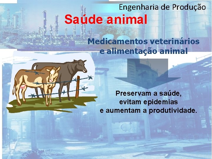 Engenharia de Produção Saúde animal Medicamentos veterinários e alimentação animal Preservam a saúde, evitam