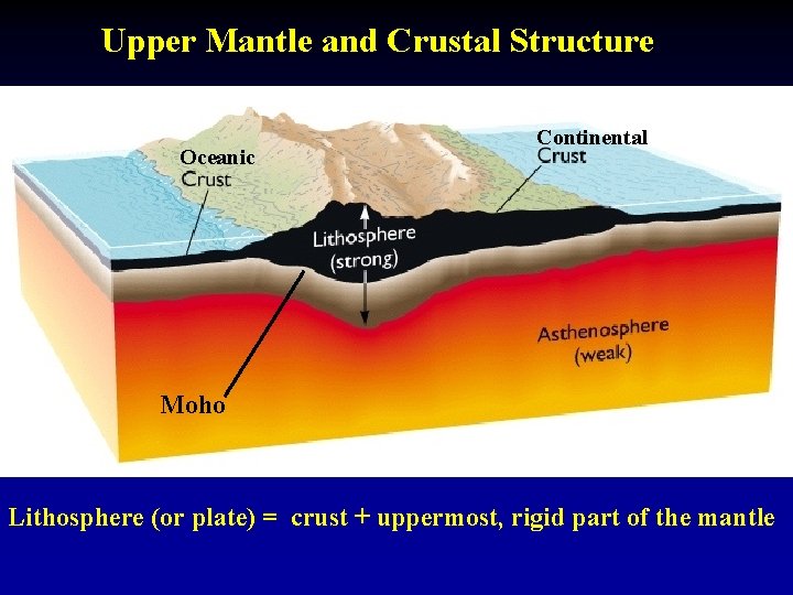Upper Mantle and Crustal Structure Oceanic Continental Moho Lithosphere (or plate) = crust +