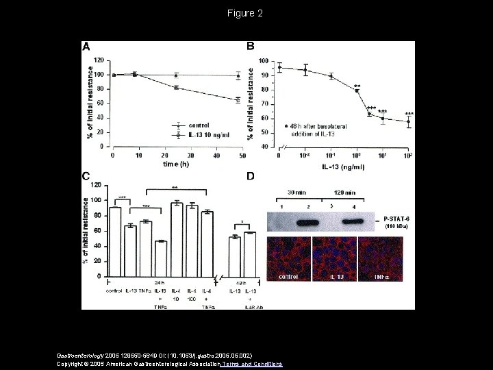 Figure 2 Gastroenterology 2005 129550 -564 DOI: (10. 1053/j. gastro. 2005. 002) Copyright ©