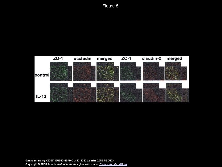 Figure 5 Gastroenterology 2005 129550 -564 DOI: (10. 1053/j. gastro. 2005. 002) Copyright ©