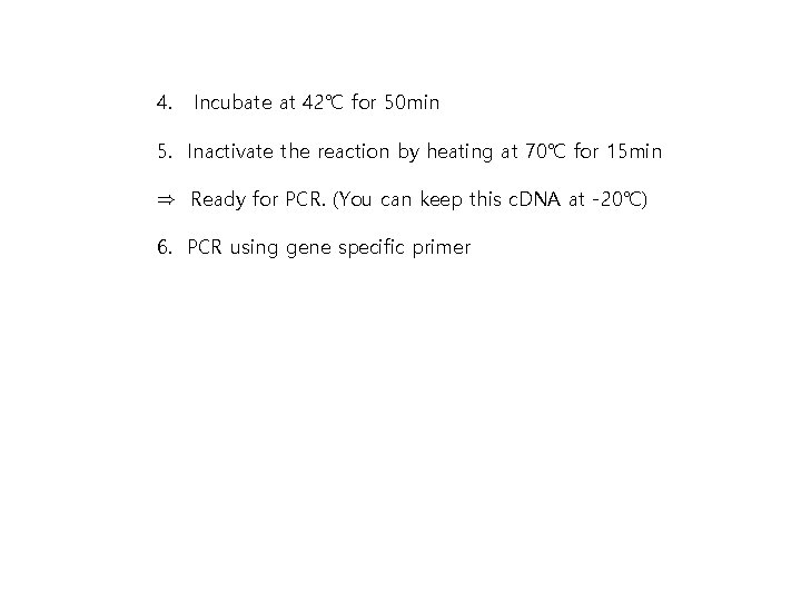 4. Incubate at 42℃ for 50 min 5. Inactivate the reaction by heating at 4. Incubate at 42℃ for 50 min 5. Inactivate the reaction by heating at