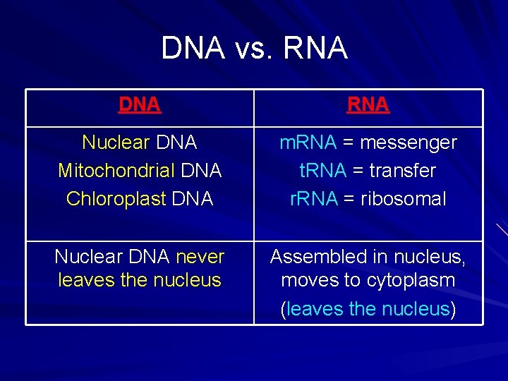 DNA vs. RNA DNA RNA Nuclear DNA Mitochondrial DNA Chloroplast DNA m. RNA =