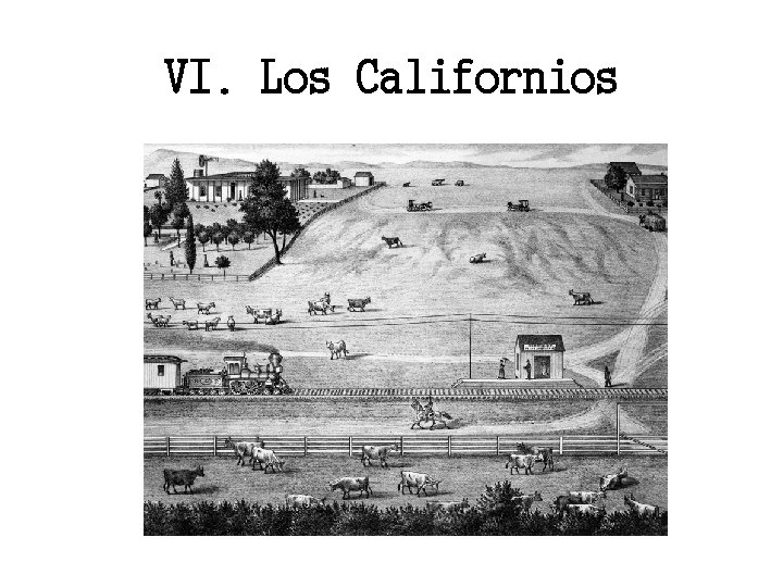 VI. Los Californios 