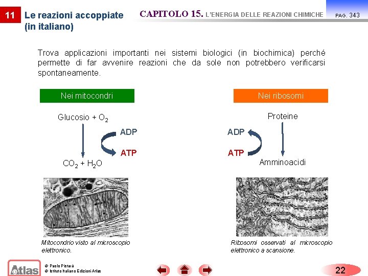 11 Le reazioni accoppiate (in italiano) CAPITOLO 15. L’ENERGIA DELLE REAZIONI CHIMICHE PAG. Trova