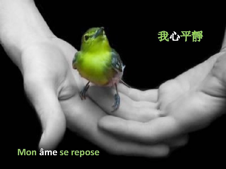 我心平靜 Mon âme se repose 